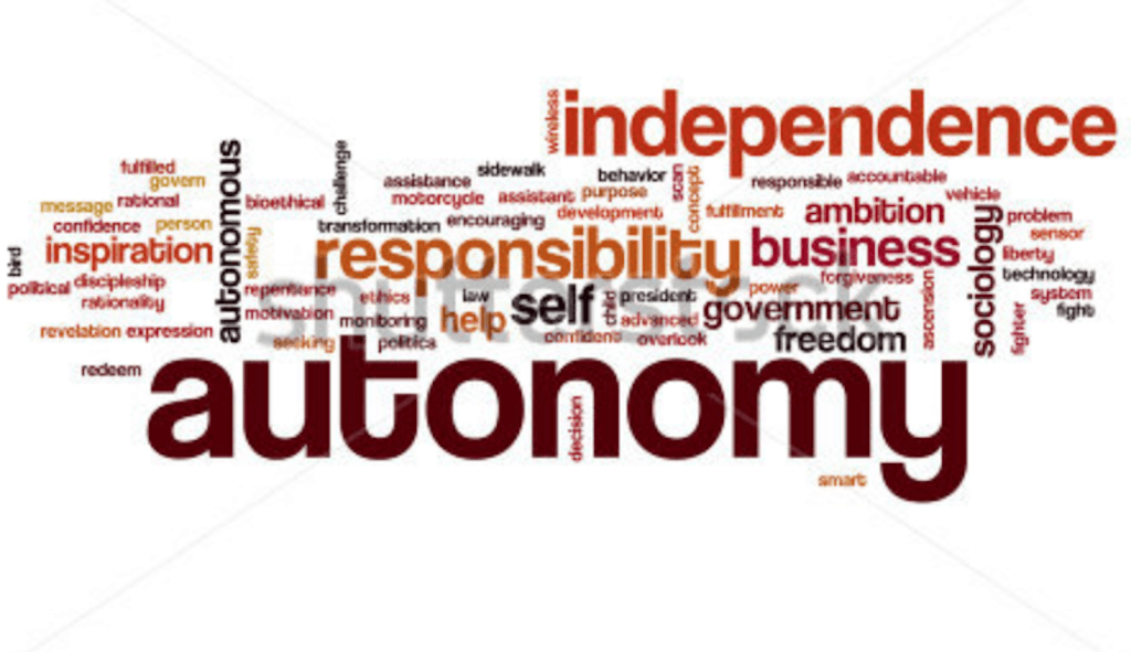 Local Government Autonomy Under Siege: Nigeria’s Governors Defy Supreme ...